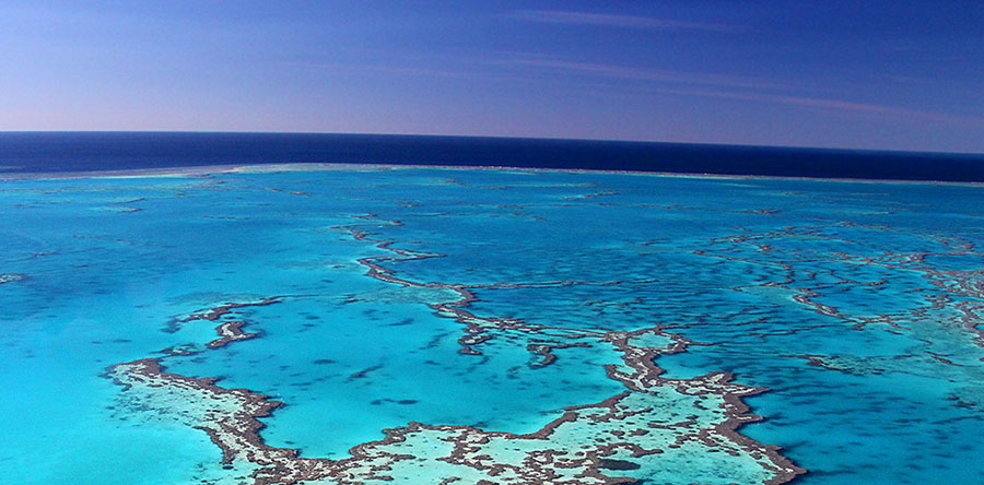 How Sukin is Helping the Great Barrier Reef